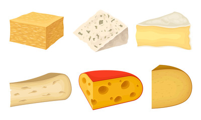 Cheese Types with Blue Cheese and Swiss Cheese Slabs Vector Set