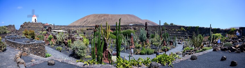 Vista panoramica en Lanzarote con un tipico molino y muchos cactus