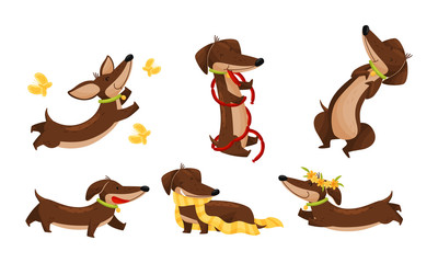 Cartoon Short-legged Dachshund Character with Long Body Catching Butterflies and Carrying Scarf Vector Set