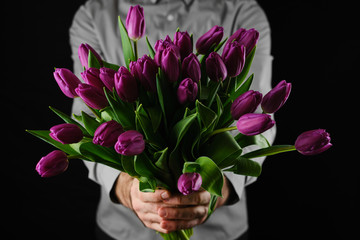 man in grey shirt give bouquet of flowers purple tulips, black background. closeup