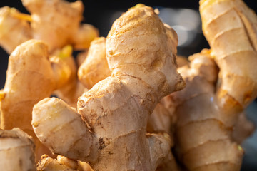 Ginger is an important spice and one of the traditional Chinese medicines