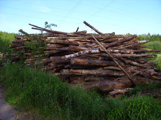 Log house