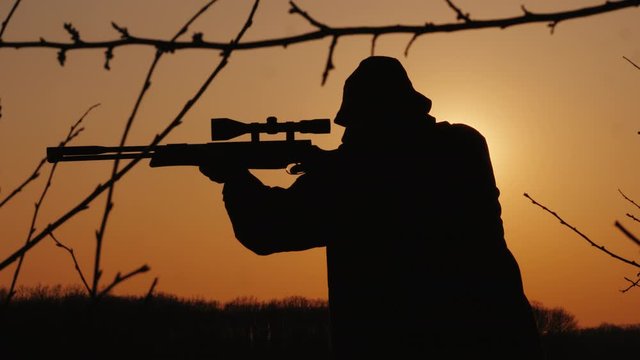 Silhouette of a hunter, hunts down a game in the forest, takes aim