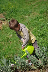 jardinage - enfant arrosant ses plants