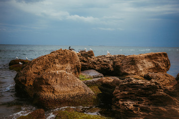 Fototapeta na wymiar Rocks on the sea beach with beautiful sky