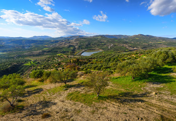 Fototapeta na wymiar Mountain rural landscape, olive groves of Greece, panorama