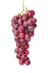 Ripe grapes