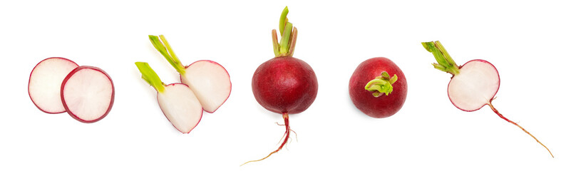Set of fresh whole and sliced radishes isolated on white background. Top view