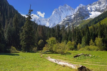 Glade in mountains