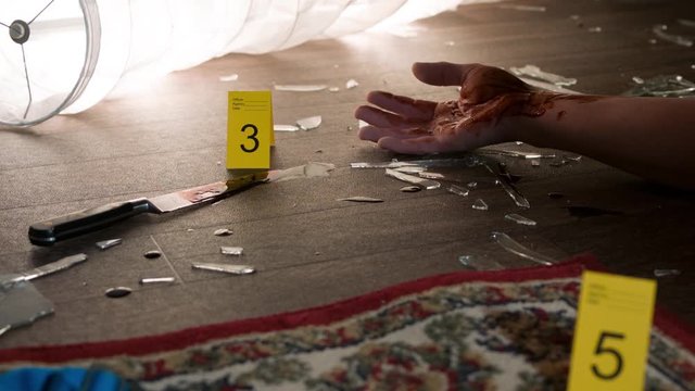 Homicide CSI Crime Scene Photography - Bloodied Weapons, Investigator, Victim
