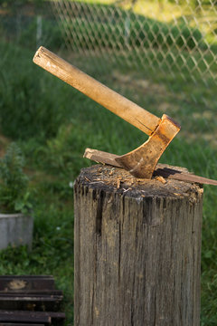 Clenched ax in a tree trunk