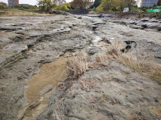 A mysterious fossil landscape that can be seen on Mars. Miraculous scenery created by fossils of...