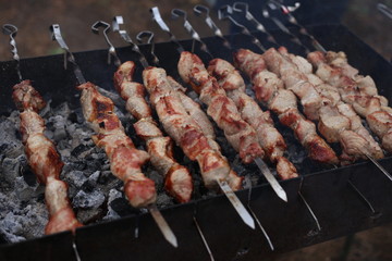 BBQ meat on the grill. Shashlik grilled on the grill