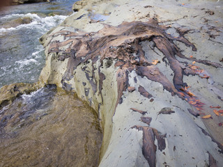 Facts no one knows. Fossil rocks on the wall of the river. A miracle land where fossils from 1.7 to...