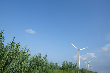 Wind turbines along the coast of Jiangsu Province