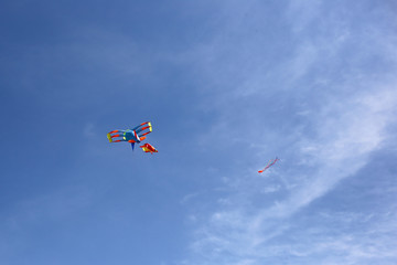 Fototapeta na wymiar Show kites. Multi-colored kite in the blue sky. Colored kite plane