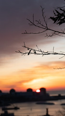 sunset over nuclear power and tree2