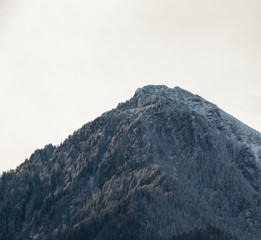 Snowcapped Carpathia Mountains!
