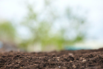 Spring natural soil background for planting plants. Beautiful bokeh. Copy space.