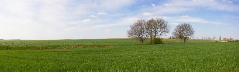 Beautiful panorama view of the Haspengouw region in Limburg, Belgium.