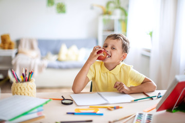 Cheerful boy bites off Apple sitting at Desk, after completing school homework