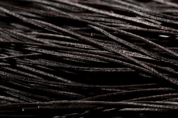 Extreme close-up squid ink black spaghetti
