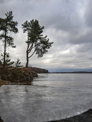 Tall pine trees on the stone bank of the Saimaa Canal on a cloudy spring day