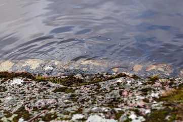 Circles on the water, a large stone near the riverbank with dark water, from which the waves diverge