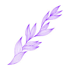 Spring branch in hand drawn style, great design for any purposes. Romantic design. Vector sketch. Beautiful vector illustration. Spring decoration. Beautiful hand drawn branch. Doodle illustration.