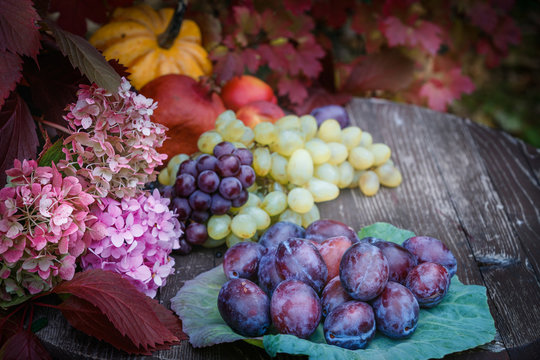 Still life of fruit, plums closeup on a leaf of cabbage, peaches, pomegranate, grapes, hydrangea flowers, beautiful leaves of wild grapes on a wooden table