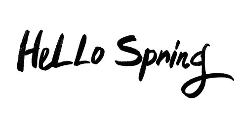 Vector illustration with isolated hand drawn phrase on white background. Hello spring.
