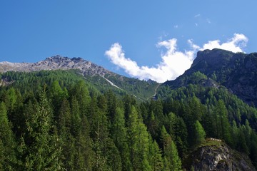 Fototapeta premium Bergblick