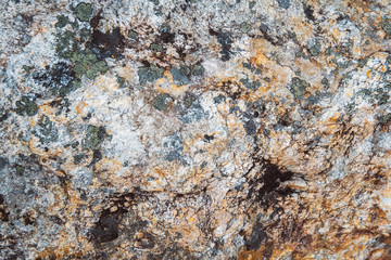 Texture of natural stone with moss and mold. Place for text or advertising