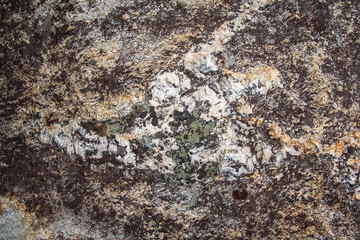 Texture of natural stone with moss and mold. Place for text or advertising
