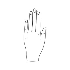 woman palm hand gesture. vector icon