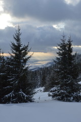 Fototapeta na wymiar Górskie szczyty Tatr