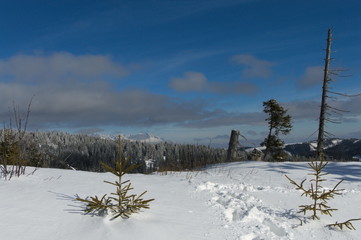 zimowe widoki w Niżnych Tatrach