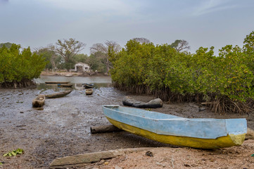 Naklejka na ściany i meble Mangrove area with traditional boats