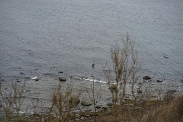 Wild seascape at Cape Arkona, island Rugia, Baltic Sea, Germany 