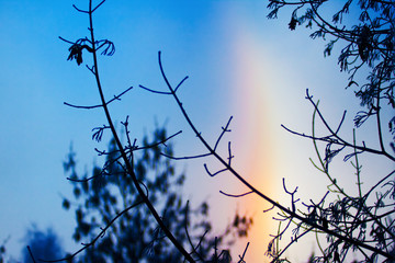 Halo on light blue background of sky. Nature landscape.