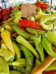 Different organic vegetables at the town market. Beautiful multicolored vegetables. A bunch of vegetables ready for sale.