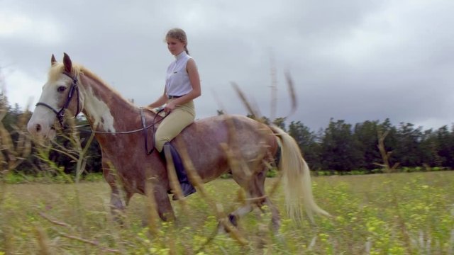 Free horse riding in flowery field with dramatic sky