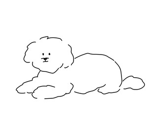 Toy poodle drawn with pen