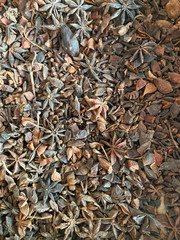 Many dry spices with star anise in brown colour in a box for background and texture.