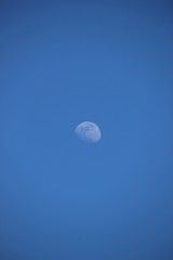 blue sky with moon