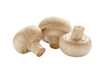 fresh raw champignons isolated on white close up