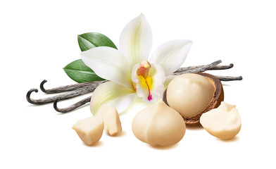 Vanilla flower, pods, macadamia nuts isolated on white background with clipping path