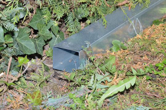 K&ouml;derbox f&uuml;r Ratten und M&auml;use