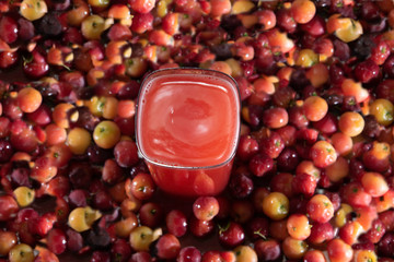  Fresh fruits and acerola