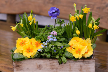 wooden planter with springs flowers
